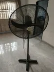 Century Giant Fan 26" - 1