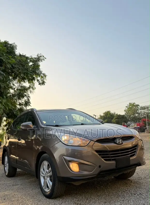 Hyundai Ix35 2013 Brown - 1