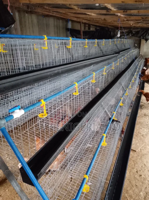 Brand New Poultry Battery Cages - 1