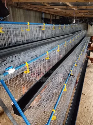Brand New Poultry Battery Cages