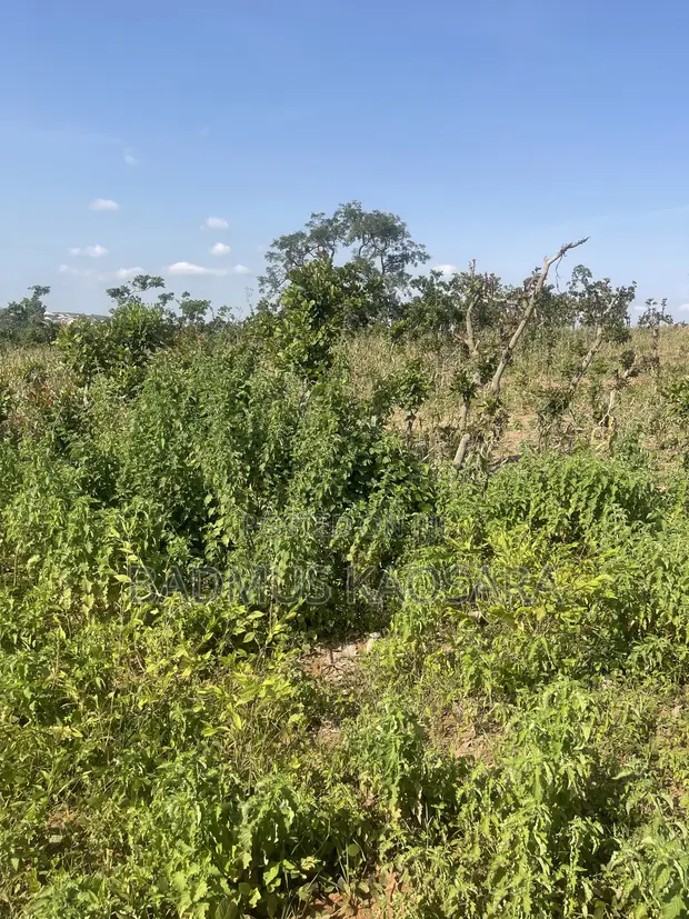 Filin Zama na Gaskiya don Siyarwa a Gundumar Guzape, Abuja - 1