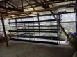 Brand New H-Type Battery Cage for Layers - 1