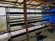 Brand New H-Type Battery Cage for Layers - 2