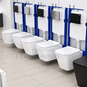 Concealed Water Closet (Wall Hung)