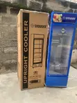 Snowsea Standing Showcase Refrigerator LC-500W - 2