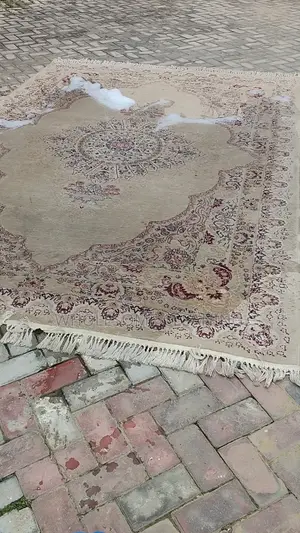 Sofa, Mattress & Carpet Cleaning Services by Wholesome