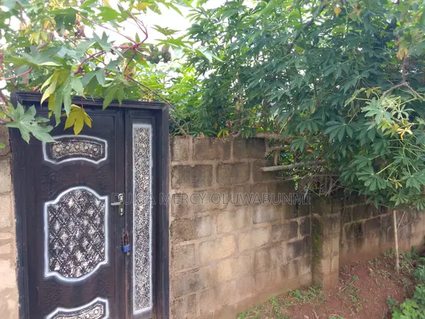 Filin 100x100ft Mai Shinge da Get, Ana Sayarwa a Kabba - 1