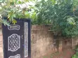 Fenced Gated 100x100ft Land for Sale in Kabba - 1