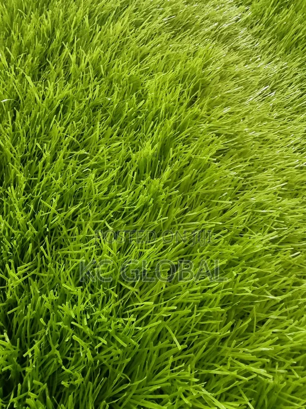 Artificial Grass 50mm - Double Color - 1