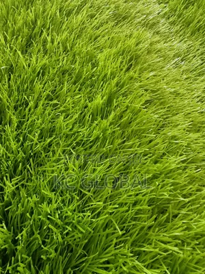 Artificial Grass 50mm - Double Color