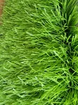 Artificial Grass 50mm - Launi Biyu - 3
