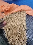 Artificial Grass 30mm - 1