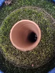 Artificial Grass 30mm - 5
