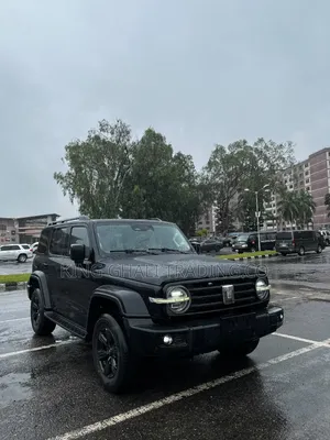 2022 Tank 300 SUV