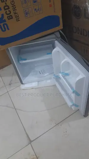 Skyrun BCD-50HW Portable Mini Fridge