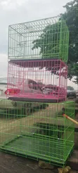 Dog & Cat Food and Accessories - 3