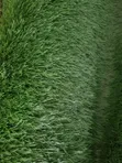 Artificial Grass 30mm - Bundle Mai Inganci - 4