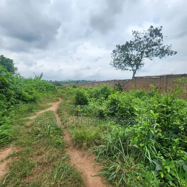 5.3 Acres na Ƙasa da C of O don Siyarwa a Badeku, Ibadan - 1