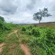 5.3 Acres na Ƙasa da C of O don Siyarwa a Badeku, Ibadan - 1