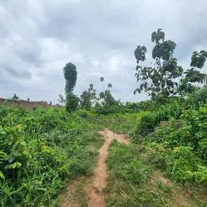 5.3 Acres na Ƙasa da C of O don Siyarwa a Badeku, Ibadan