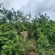 5.3 Acres na Ƙasa da C of O don Siyarwa a Badeku, Ibadan - 3