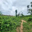 5.3 Acres na Ƙasa da C of O don Siyarwa a Badeku, Ibadan - 5