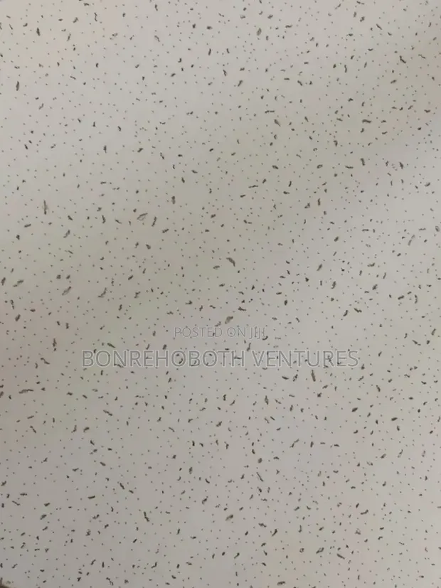 Mineral Fiber 12mm Suspended Ceiling - 1