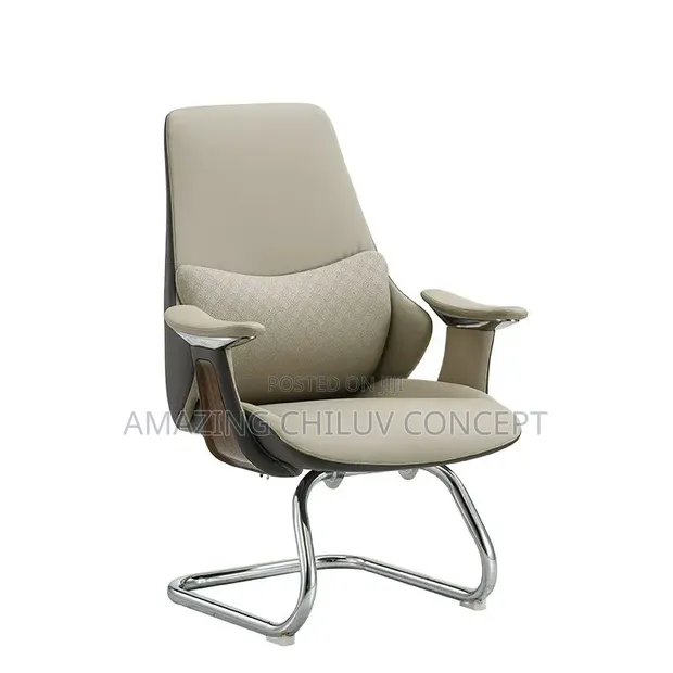 Babban Kursiyin Zartaswa Mai Kafa Chrome Cantilever - 1