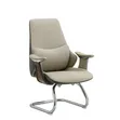 Babban Kursiyin Zartaswa Mai Kafa Chrome Cantilever - 1