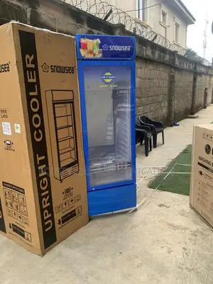 Snowsea LC-500W Upright Chiller