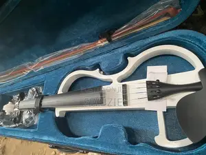Brand New Electric Violin 4/4