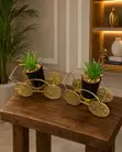 Kyawawan Gold-Toned Flower Deco Masu Riƙe Shuke-shuke - 2