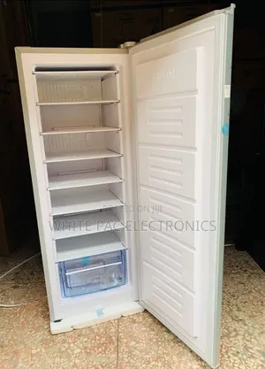 Haier Thermocool 200L Upright Freezer for Ice Blocks