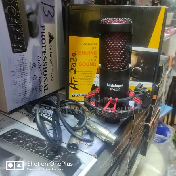 Audio-Technica AT2020 Condenser Microphone - 1