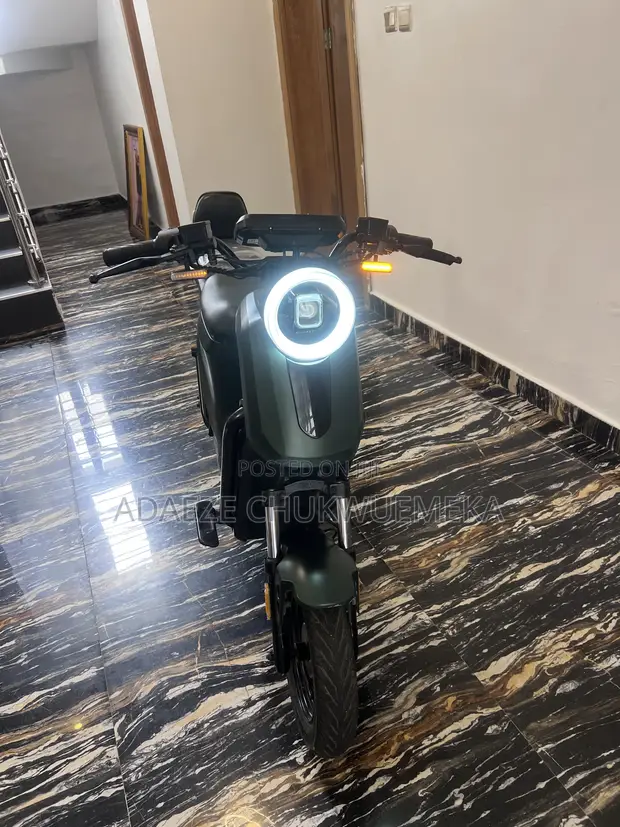 TDT1028Z Electric Bike 1500W Gray - 1
