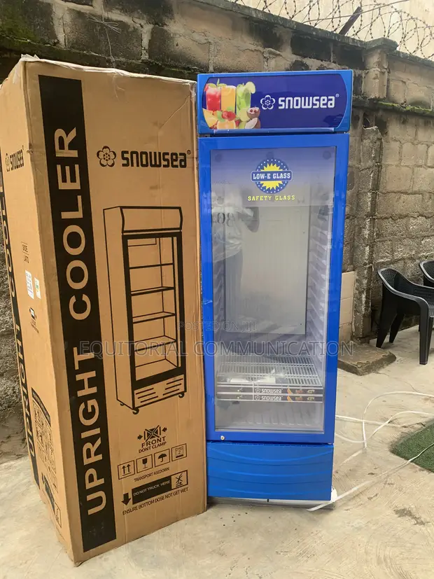 Snowsea Glass Display Chiller LC-500W - 1