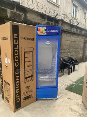 Snowsea Glass Display Chiller LC-500W