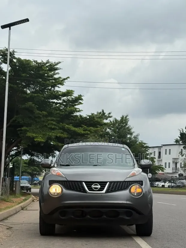 2014 Nissan Juke Gray - 1