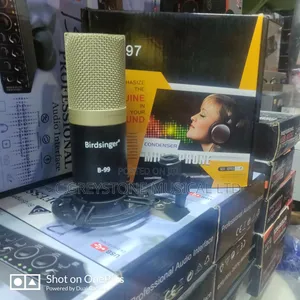 B99 Cardioid Condenser Microphone