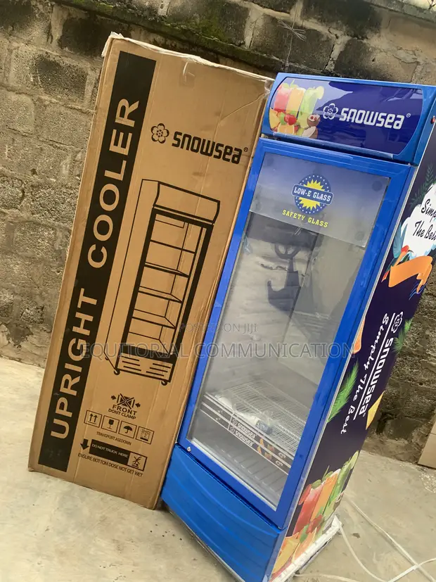 Snowsea Upright Shop Display Cooler LC-500W - 1
