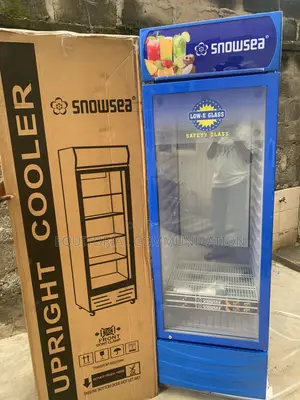 Snowsea Upright Shop Display Cooler LC-500W