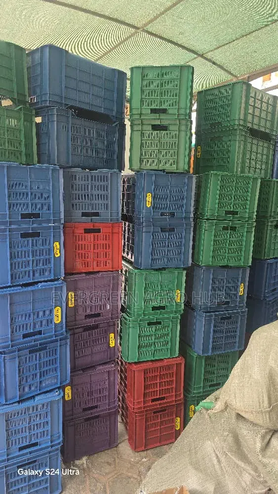 Durable Plastic Harvest Crate for Vegetables - 1