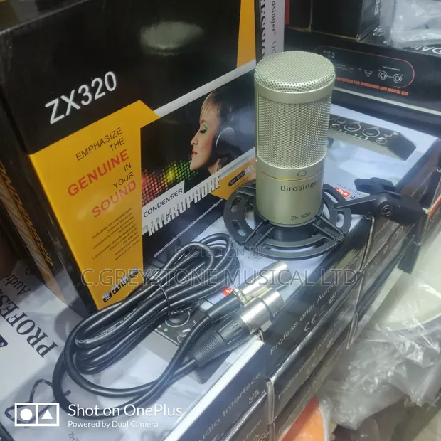 Birdsinger ZX320 Condenser Microphone - 1