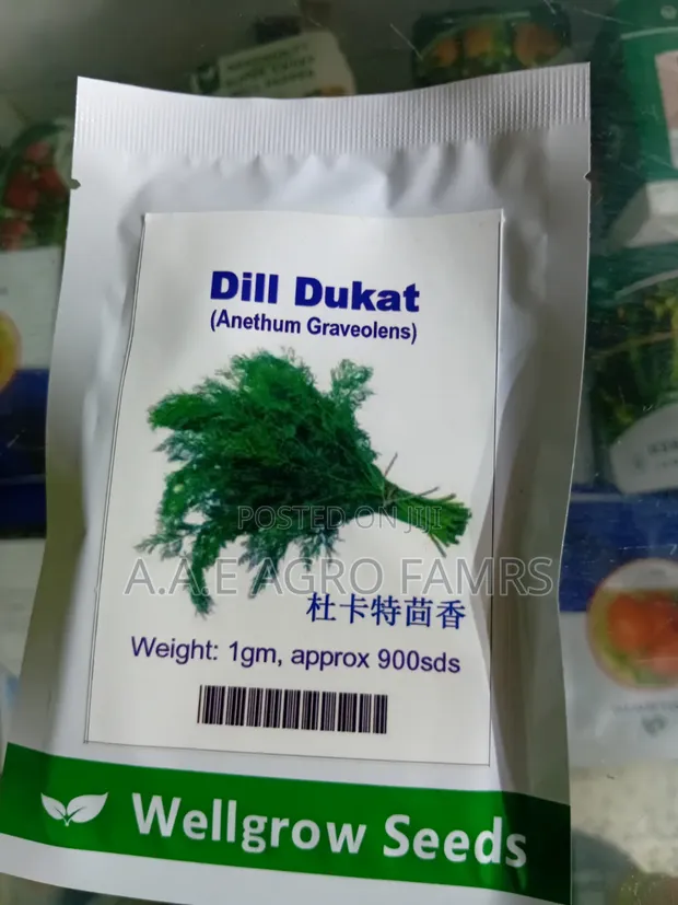 Dill Dukat Seeds - 1g - 1