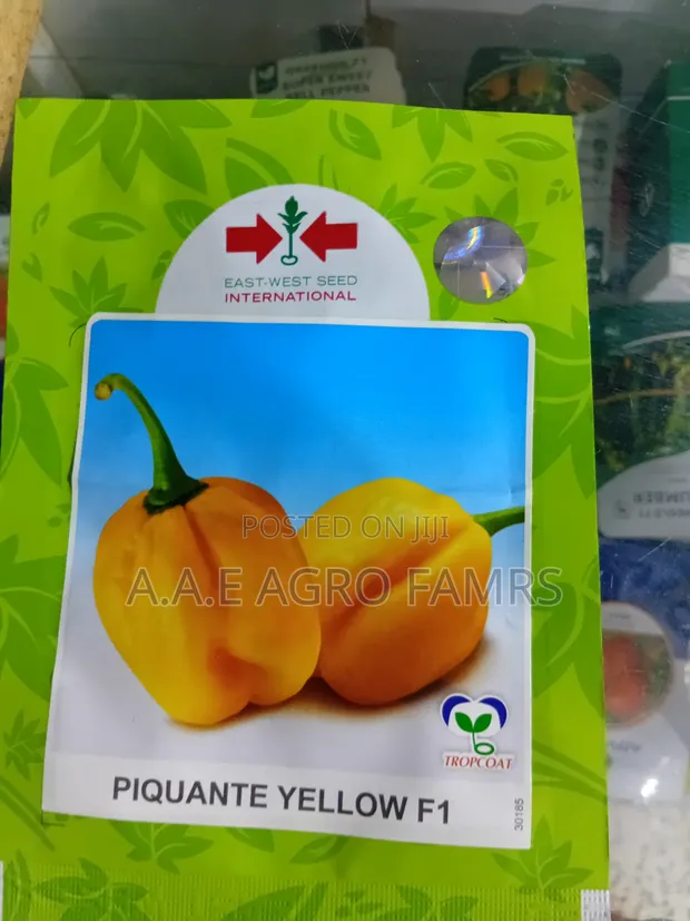 Piquante Yellow F1 Pepper Seeds - 1