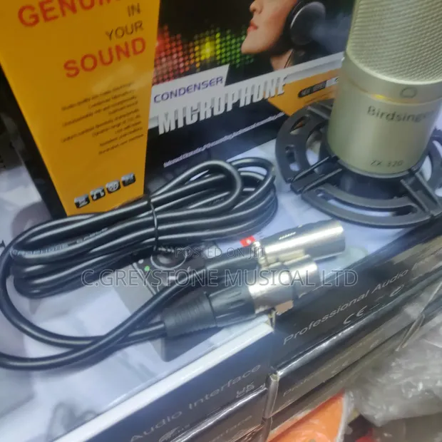 ZX-320 Condenser Microphone - 1