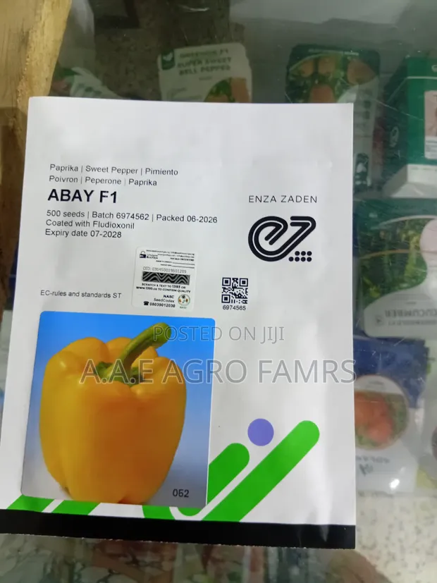 Abay F1 Yellow Sweet Pepper Seeds - 1