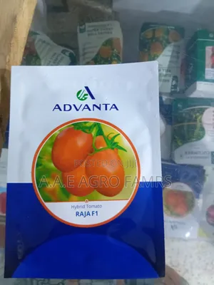 Raja F1 Hybrid Tomato Seeds