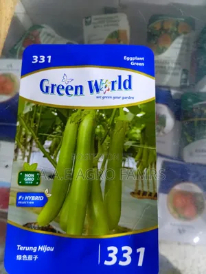 Eggplant Green F1 Hybrid Seeds