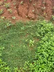 Filin Zama na FCDA da Aka Amince a Pyakasa, FCT Abuja - 1